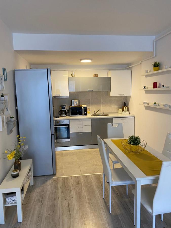 Harmony Apartment Sinaia Extérieur photo